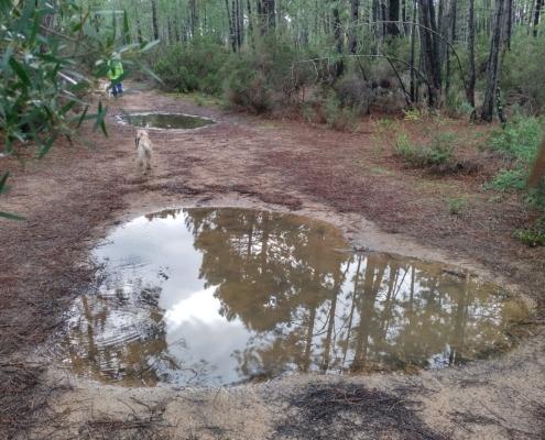 IMG_20221213_122354_HDR