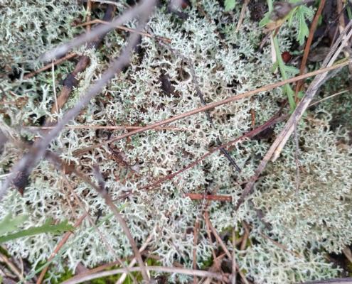 IMG_20221213_123506_HDR