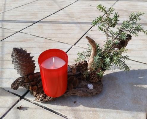 IMG_20221213_141122_HDR~2