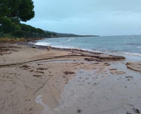 IMG_20221214_074623_HDR