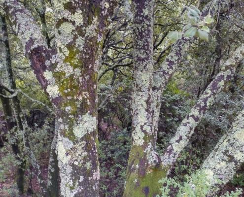 IMG_20221216_115608_HDR