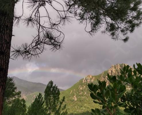 IMG_20221216_121926_HDR~2