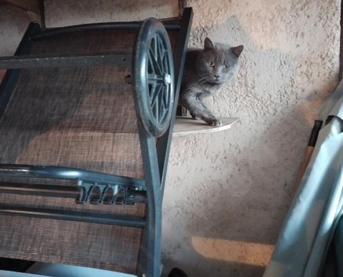 IMG_20221218_073955_HDR - Kopie