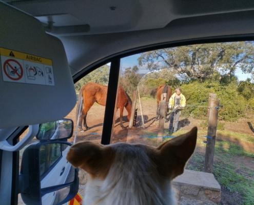 IMG_20221220_103624_HDR