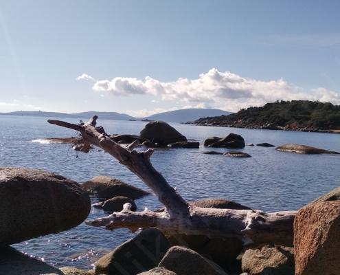 IMG_20221220_122857_HDR