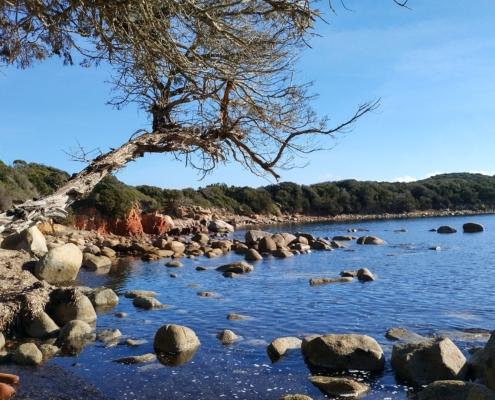 IMG_20221220_122920_HDR