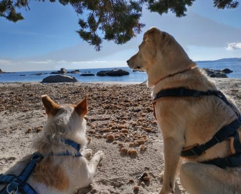 IMG_20221220_123253_HDR