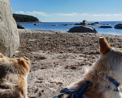 IMG_20221220_123304_HDR - Kopie