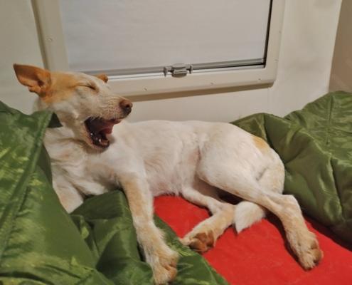 IMG_20221224_063843_HDR