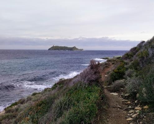 IMG_20221224_081436_HDR~2