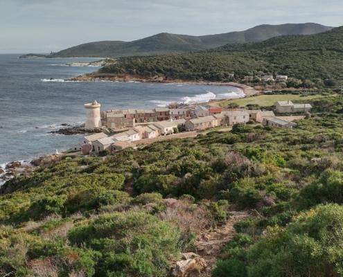 IMG_20221224_122951_HDR