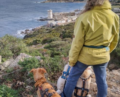 IMG_20221224_123605_HDR