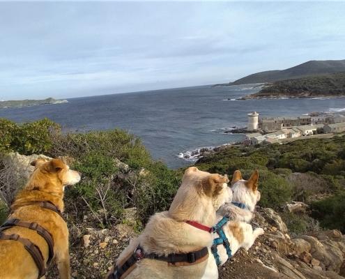 IMG_20221224_123658_HDR