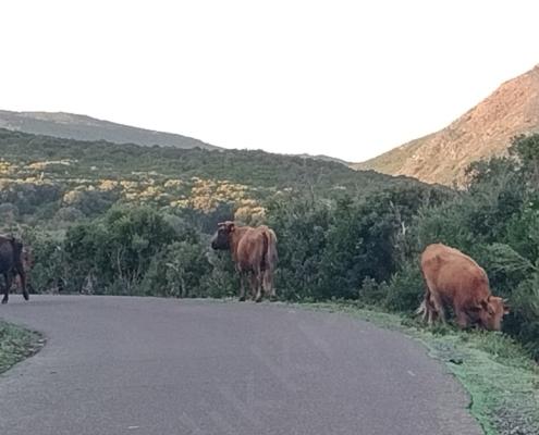 IMG_20221225_084904_HDR