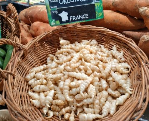 IMG_20221229_132752_HDR