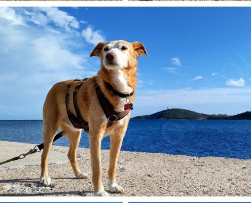 20230119_175607-COLLAGE