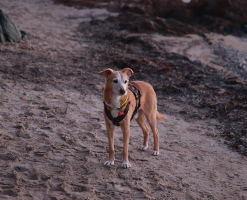 D32P1042 - Kopie - Kopie