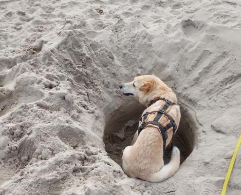 IMG_20221231_122244_HDR