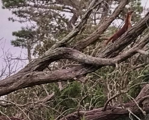 IMG_20230101_122323_HDR