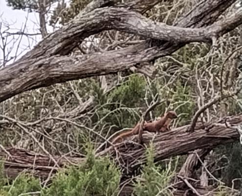 IMG_20230101_122335_HDR