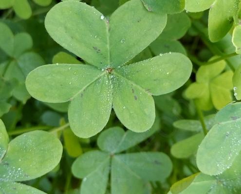 IMG_20230101_133226_HDR