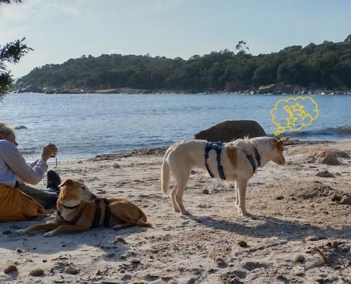 IMG_20230103_131708_HDR - Kopie