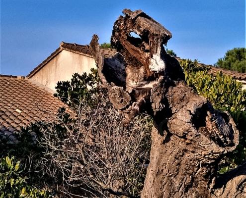 IMG_20230103_154136_HDR (2)