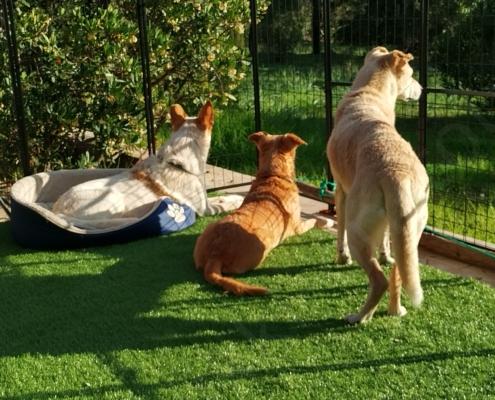 IMG_20230107_143340_HDR