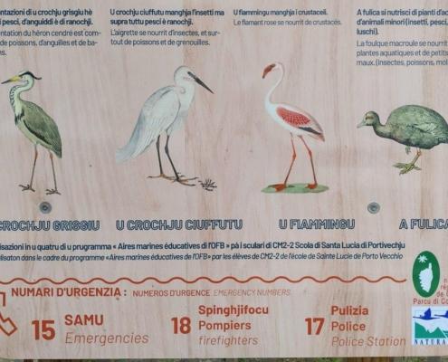 IMG_20230109_115245_HDR