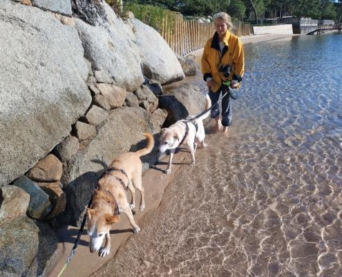 IMG_20230112_123203_HDR