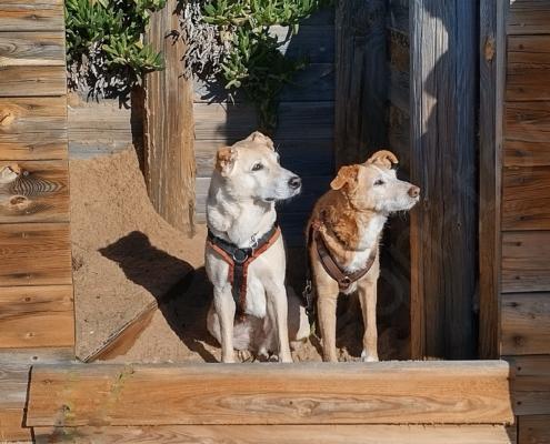 IMG_20230112_123937_HDR