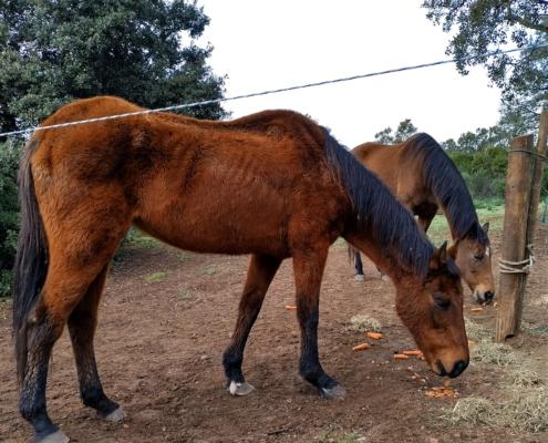 IMG_20230113_113652_HDR