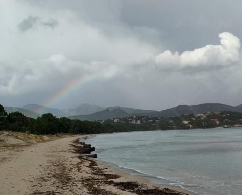 IMG_20230117_123028_HDR (2)