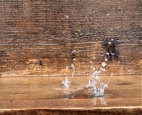 IMG_20230117_124734_HDR (2)