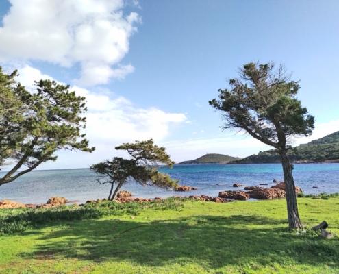 IMG_20230119_120248_HDR