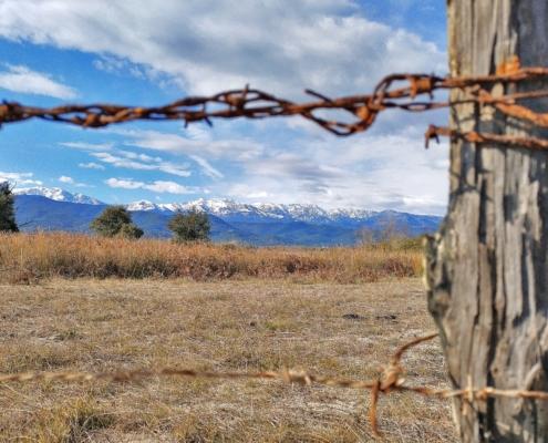 IMG_20230121_131925_HDR - Kopie