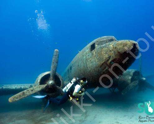 11 - diving-the-skytrain-386