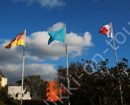 23 - D32P2346 - Kopie