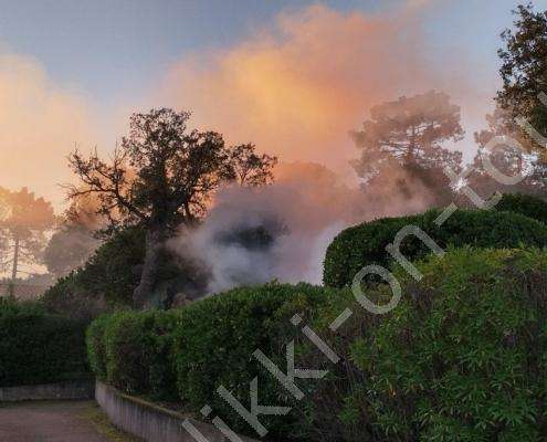 IMG_20220122_080832_HDR