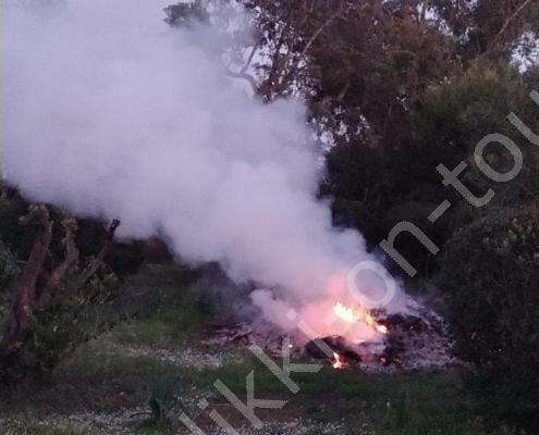 IMG_20220323_185448_HDR