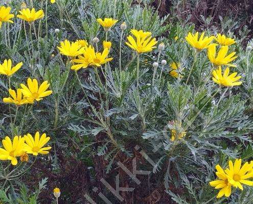 IMG_20230130_123152_HDR