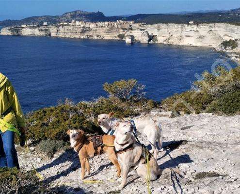 IMG_20230202_122033_HDR