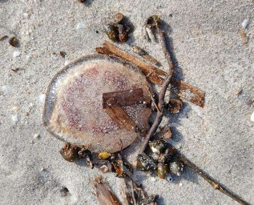 IMG_20230206_114058_HDR