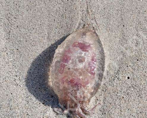 IMG_20230206_114319_HDR