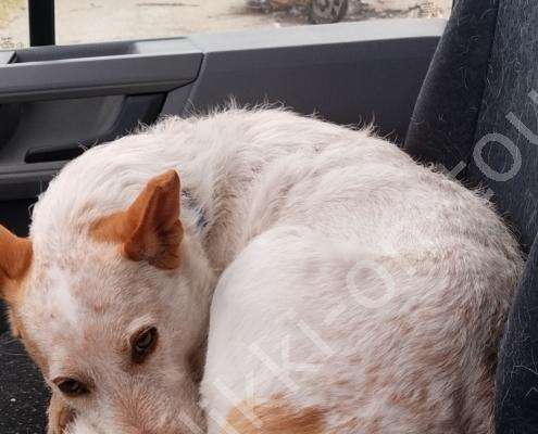 IMG_20230207_110408_HDR