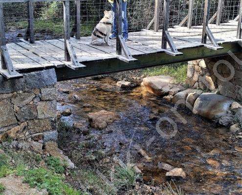 IMG_20230214_114232_HDR