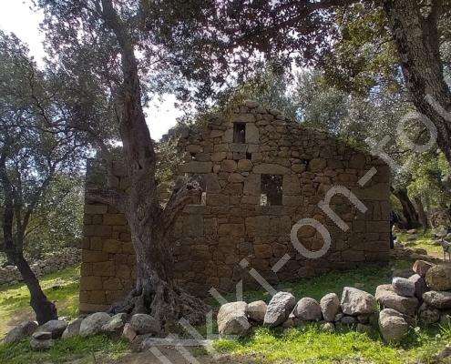 IMG_20230214_121311_HDR