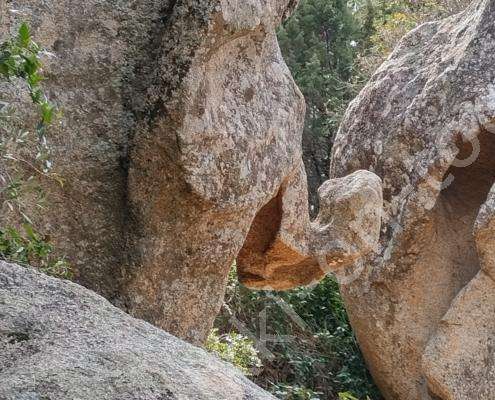 IMG_20230214_124619_HDR