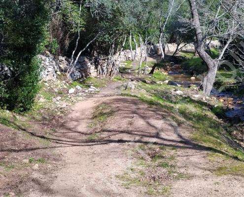 IMG_20230214_130016_HDR