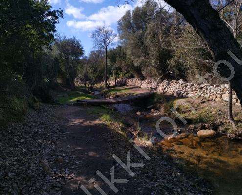 IMG_20230214_130724_HDR